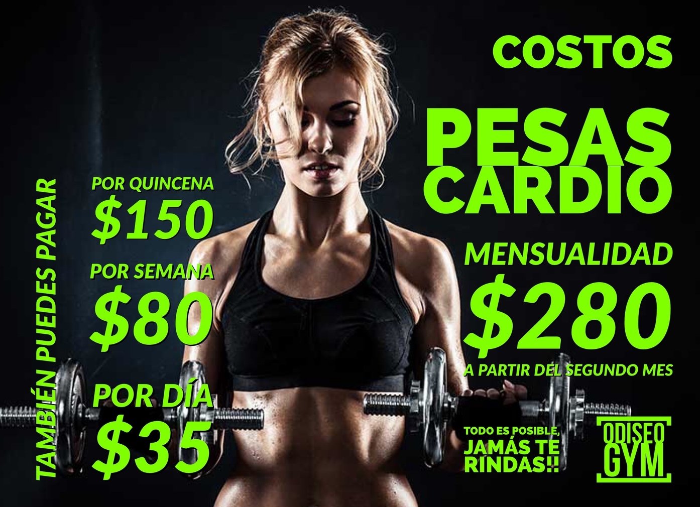 Mensualidad Normal<span style="font-weight: bold;"> </span>
