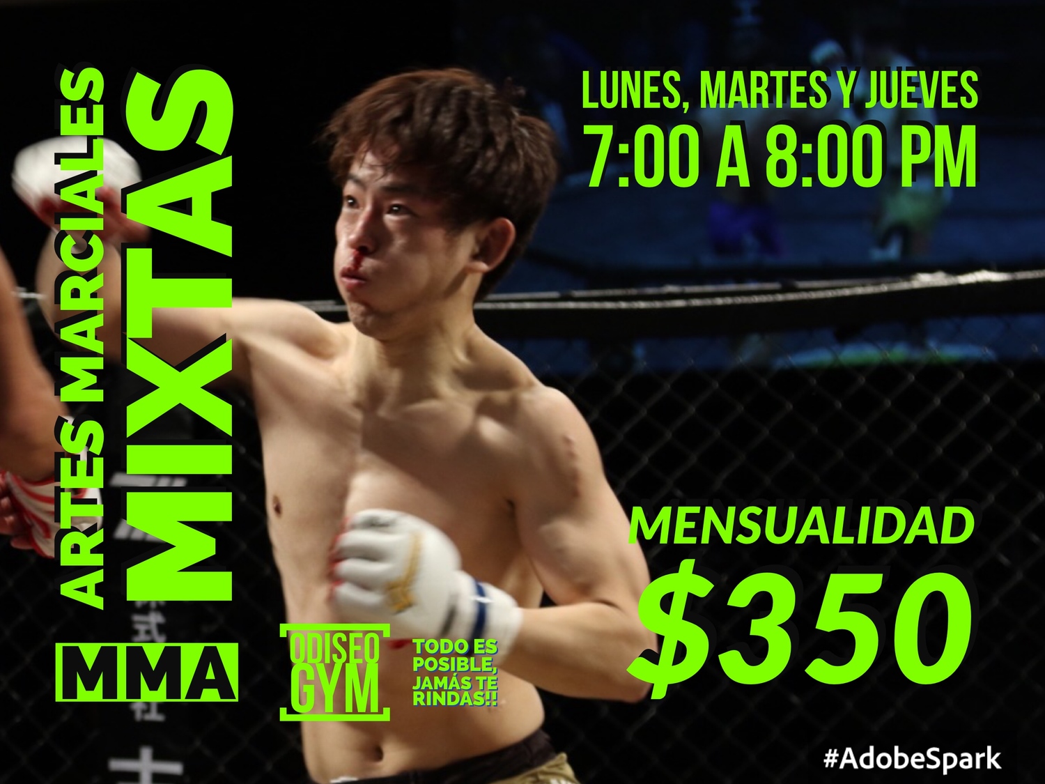 Artes Marciales Mixtas (MMA)